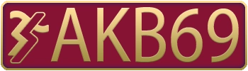 AKB69